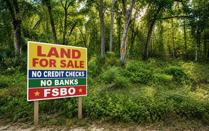 Timberland Property for sale in Putnam County, Florida