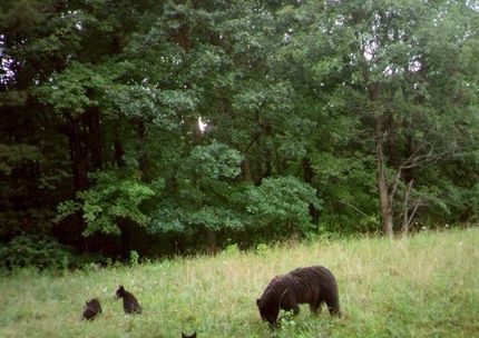 Property for sale in Clinton County, Pennsylvania