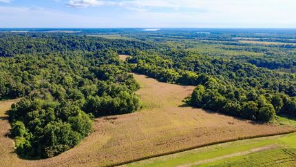Farm Property for sale in Carlisle County, Kentucky