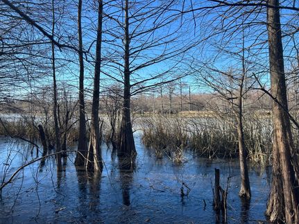 Farm Property for sale in Tunica County, Mississippi