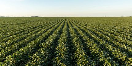 Farm Property for sale in Wood County, Ohio
