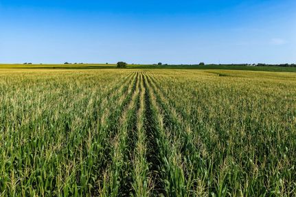 Farm Property for sale in Greene County, Iowa