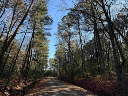 Recreational Property for sale in Mathews County, Virginia