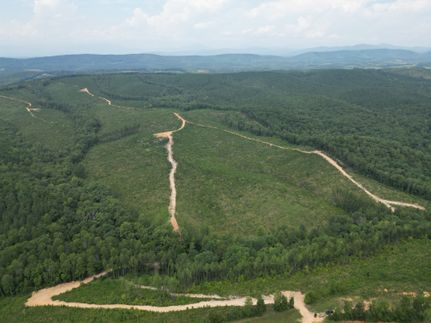 Farm Property for sale in Nelson County, Virginia