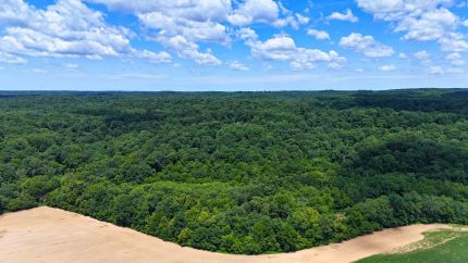 Farm Property for sale in Martin County, Indiana