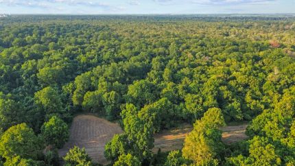Ranch Property for sale in Desha County, Arkansas