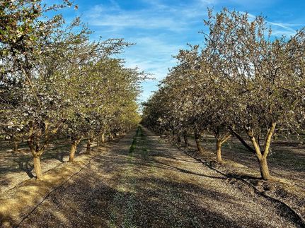 Farm Property for sale in Madera County, California