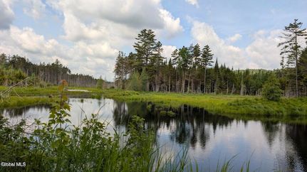 Timberland Property for sale in Hamilton County, New York