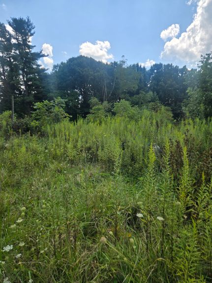 Farm Property for sale in Perry County, Ohio