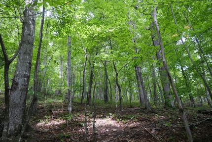 Ranch Property for sale in Washington County, Virginia