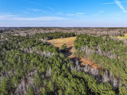 Farm Property for sale in Douglas County, Georgia