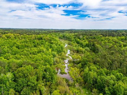 Timberland Property for sale in Upshur County, Texas
