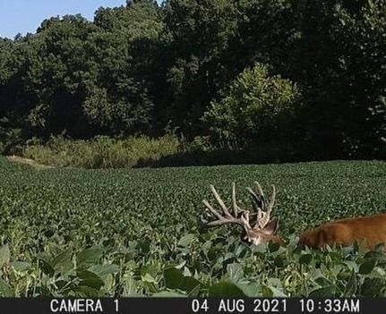 Farm Property for sale in Muhlenberg County, Kentucky