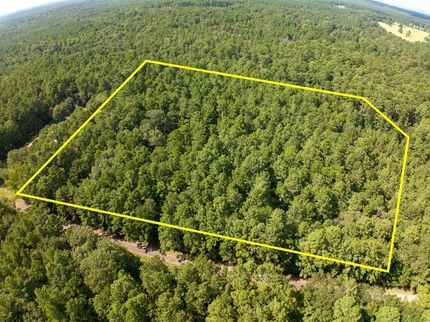 Hunting Land for sale in Angelina County, Texas