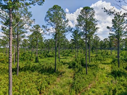 Residential Property for sale in Marion County, Georgia
