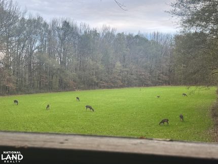 Farm Property for sale in Carroll County, Mississippi