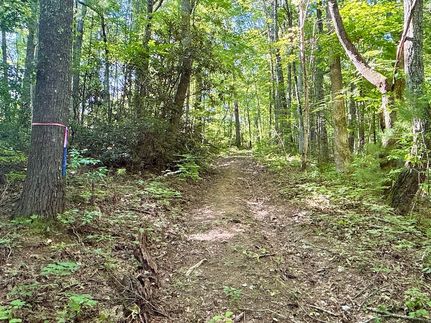 Farm Property for sale in Cocke County, Tennessee