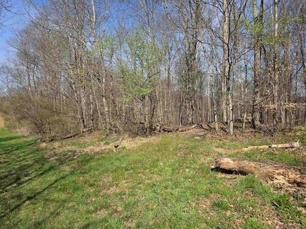 Farm Property for sale in Taylor County, West Virginia