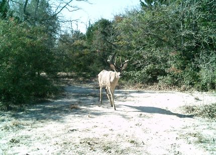 Ranch Property for sale in Leon County, Texas