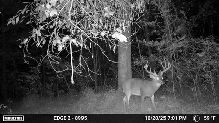 Farm Property for sale in Jackson County, Illinois