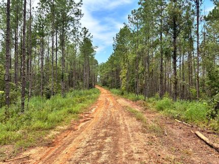 Farm Property for sale in Clarke County, Mississippi