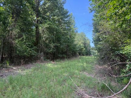 Ranch Property for sale in Lamar County, Alabama