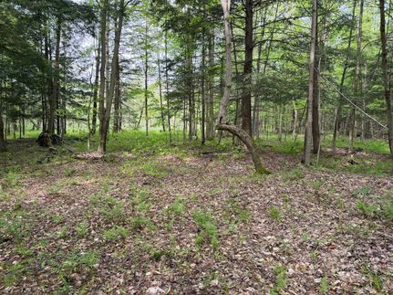 Farm Property for sale in Cattaraugus County, New York