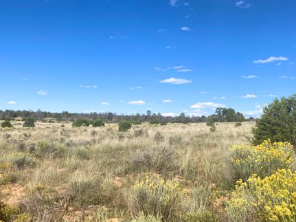 Ranch Property for sale in Cibola County, New Mexico
