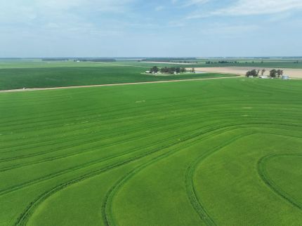 Farm Property for sale in Poinsett County, Arkansas