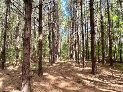 Farm Property for sale in Simpson County, Mississippi