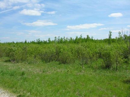 Ranch Property for sale in Mower County, Minnesota
