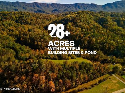 Undeveloped Land for sale in Sevier County, Tennessee
