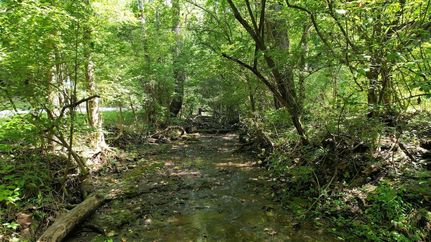 Farm Property for sale in Woodford County, Kentucky