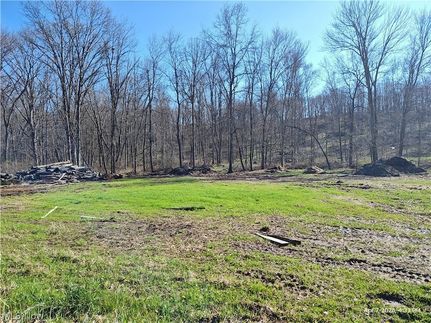 Undeveloped Land for sale in Carroll County, Ohio