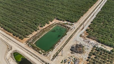 Farm Property for sale in Tulare County, California