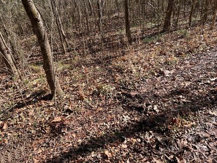Ranch Property for sale in Jackson County, Alabama