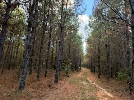 Timberland Property for sale in Barbour County, Alabama