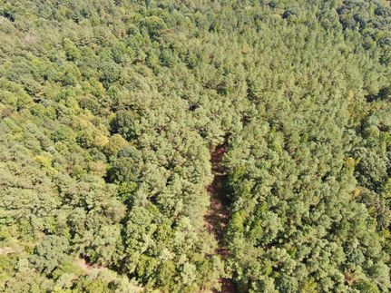 Farm Property for sale in Hardeman County, Tennessee