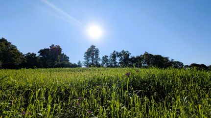 Recreational Property for sale in Perry County, Ohio
