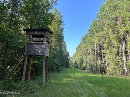 Farm Property for sale in Copiah County, Mississippi
