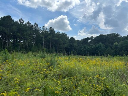 Ranch Property for sale in Sumter County, South Carolina