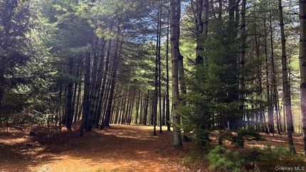 Farm Property for sale in Sullivan County, New York
