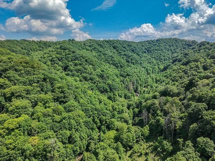 Ranch Property for sale in Buchanan County, Virginia