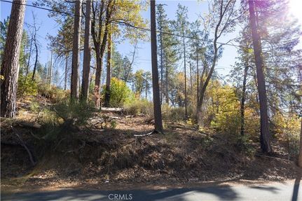 Timberland Property for sale in Lake County, California