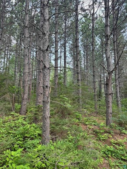 Ranch Property for sale in Cook County, Minnesota