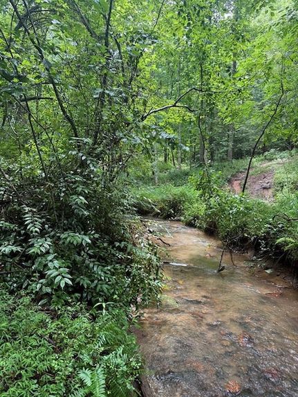 Ranch Property for sale in Clay County, North Carolina