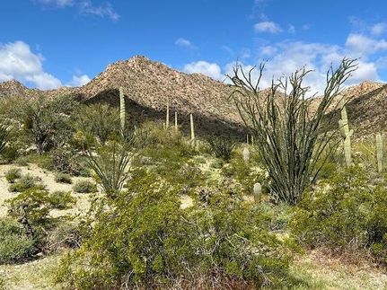 Farm Property for sale in Pima County, Arizona