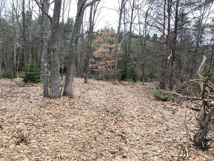 Farm Property for sale in Oceana County, Michigan