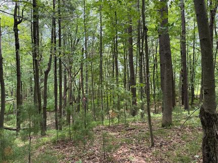 Ranch Property for sale in Burnett County, Wisconsin