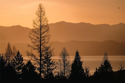 Farm Property for sale in Flathead County, Montana